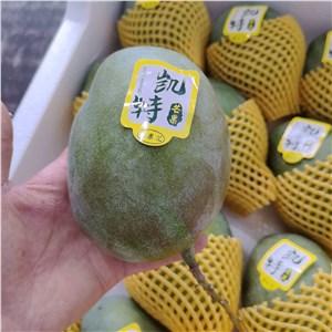 【彪哥】四川-青凯特芒 中果（15-17斤/箱） 