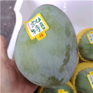 【彪哥】四川-青凯特芒 特大果（22-24斤/箱） 