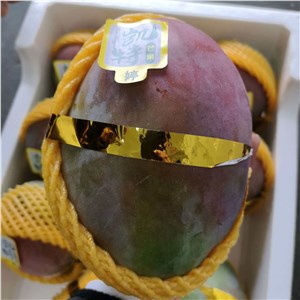 【彪哥】四川-红凯特芒（24-26斤/箱） 