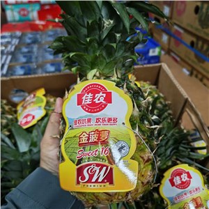 【老张】菲律宾-佳农凤梨（26-27斤/箱，9头/箱） 