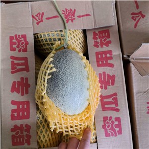 【彪哥】海南-晓蜜瓜 高箱（37-39斤/箱） 