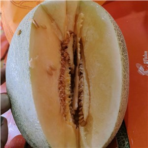 【彪哥】海南-晓蜜瓜 44#（18-20斤/箱） 
